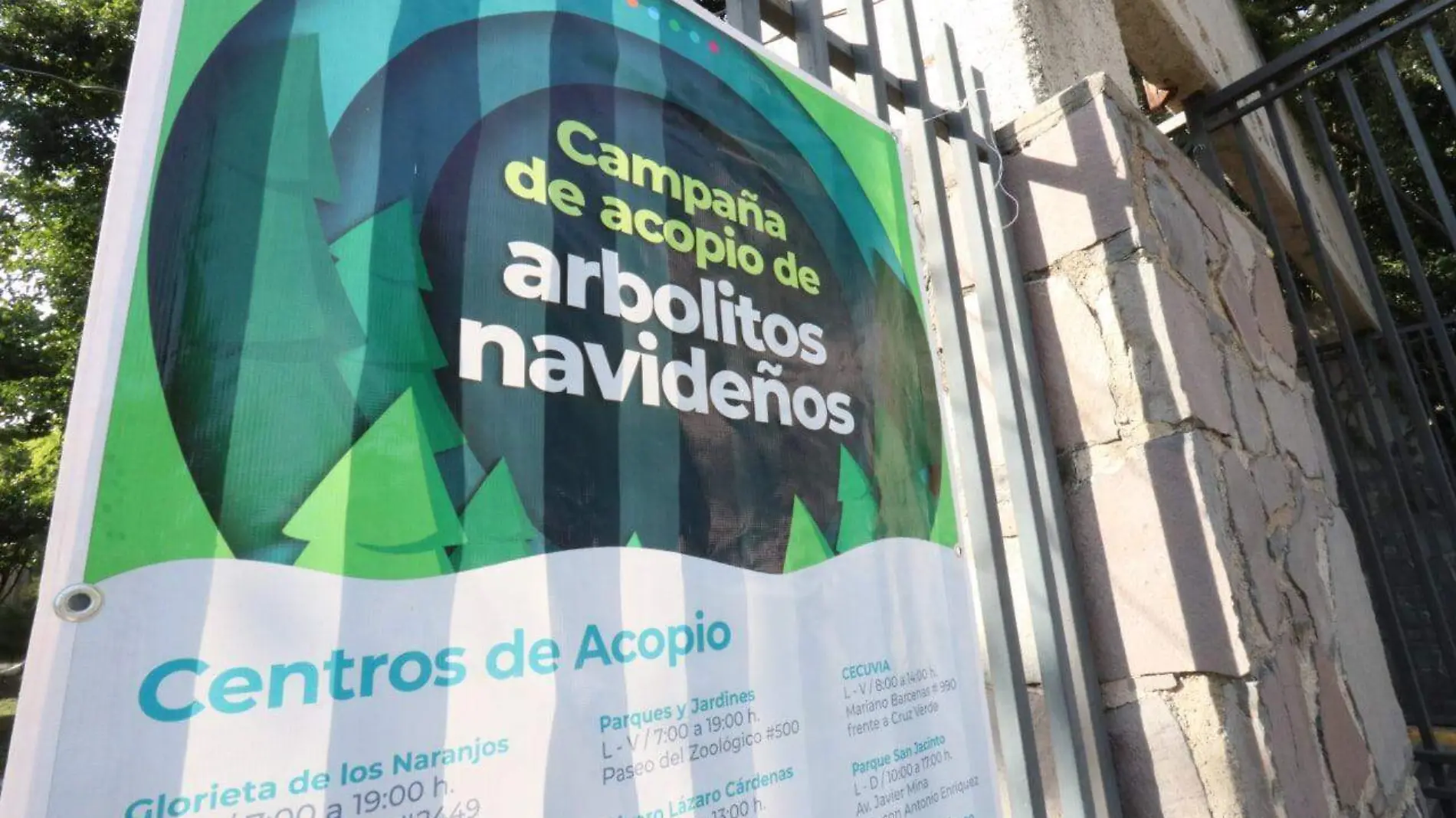 Continúa campaña de acopio de árboles